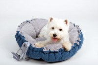 Dog & Cat Bed Cushion DAISY