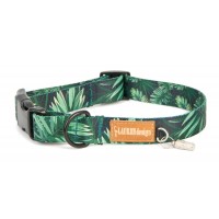 Dog Collar Color