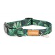 Dog Collar Color