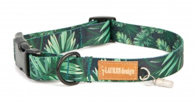 Dog Collar Color