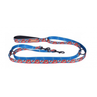 Dog Leash Long 2.5 x 140-180-240cm, COLOR