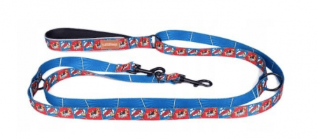 Dog Leash Long 2.5 x 140-180-240cm, COLOR