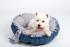 Dog & Cat Bed Cushion DAISY