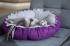 Dog & Cat Bed Cushion DAISY