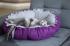 Dog & Cat Bed Cushion DAISY
