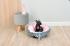 Dog & Cat Bed Cushion DAISY