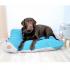 Exclusive Comfort Dog or Cat Pillow Bed FRIDA