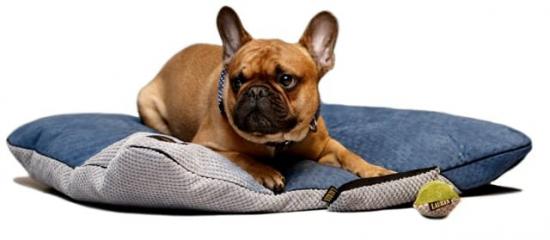 Exclusive Comfort Dog or Cat Pillow Bed FRIDA