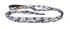 Dog Leash Long 2.5 x 140-180-240cm, COLOR