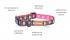 Dog Collar Color