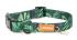 Dog Collar Color