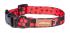 Dog Collar Color