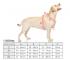 Dog Harness GUARD