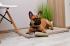 Orthopedic Pet Bed Mat, for dogs or cats, memory foam, DEMI PREMIUM