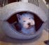 Luna Igloo Blanket 40x24x46cm cat bed