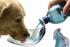Compact water bowl for dogs