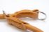 Exclusive Training Collar Premium, Genuine Napa Leather, Round