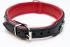 Exclusive Collar, Customized, Genuine Cow Leather, Napa Lining, handmade