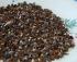 Buckwheat sleeping pillow, buckwheat husk, made of cotton
